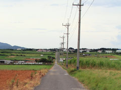 夏の家族旅行2014その6（最終回）ーシュガーロードを念願のサイクリングでかけ抜ける！島カフェ「ヤシの木」さんでの昼食と名物黒糖サンデーをいただきました−編