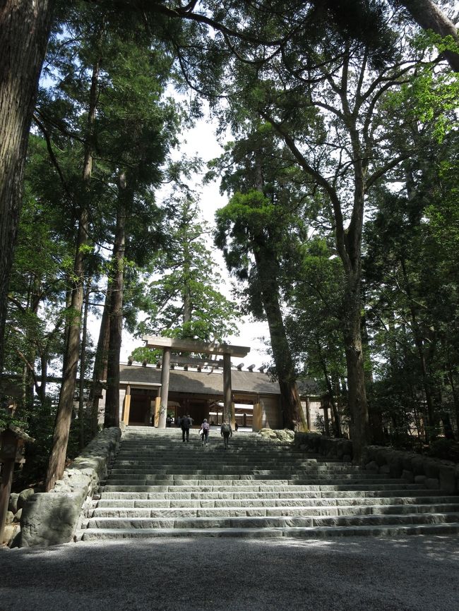 お伊勢さんに観光に行って来ました。<br />神社仏閣、狛犬が大好きなのですが、伊勢は初めてお参りに行きました。<br />想像していた神社の建物とは違いましたが、境内の木の大きさにびっくりしました。<br />東京ではあれだけの木を見ることはないので境内に入るときにそれだけで感動です！！<br />さすがお伊勢さん、街並みも色々と興味深い物がありました。<br />伊勢神宮内は撮影禁止なので社殿の写真はありませんが、伊勢は周りの方がいいですね。