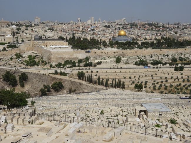 「オリーブ山」は「エルサレム東郊」にある「丘陵」です。<br /><br />「オリーブ山」からは「エルサレム」が一望でき「神殿の丘」「岩のドーム」「聖墳墓教会」などが見ることができます。<br /><br />「旧約および新約聖書」にたびたび言及され「橄欖山（かんらんざん）」とも訳されています（ウィキ）。<br /><br />写真の手前は「墓地」で「最後の審判の日」に「神が立ち死者がよみがえる場所」とされているため「墓地」が作られるようになりました。<br /><br />「イエス・キリスト」が「最後のエルサレム滞在中」に夜を過ごし「弟子たちに説教を行った場所」とされ、また「ルカ福音書」では捕えられる前に「最後の祈りを捧げた場所」とされます（ウィキ）。