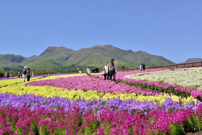 　くじゅう花公園は、大分県竹田市久住町、阿蘇くじゅう国立公園の標高850mの久住高原に位置する花の公園で、面積約20haの園内には、春から秋を通じて様々な花が植えられています。<br />　また、日本百名山に数えられる久住山を中とするくじゅう連山を借景とする美しい自然や、周辺の阿蘇五岳や祖母傾の山々を見晴らせる日本離れした景色に遭遇できます。