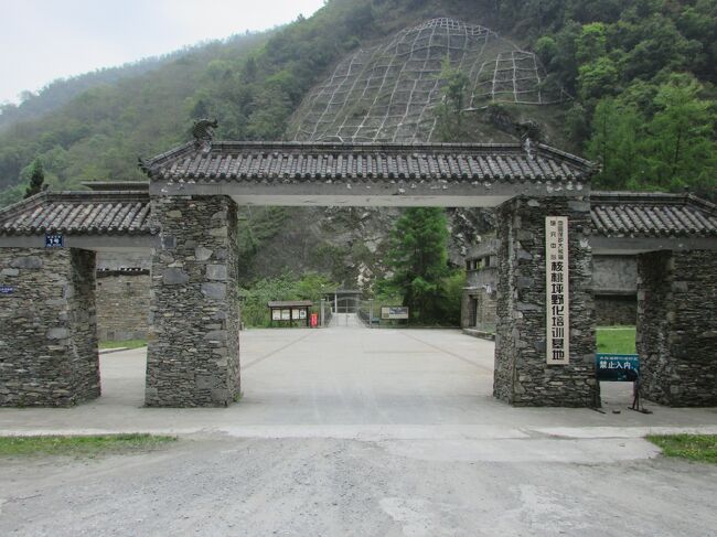 核桃坪基地、神樹坪基地（成都・臥龍・碧峰峡のパンダ基地と映秀・三江のパンダ　４日目)