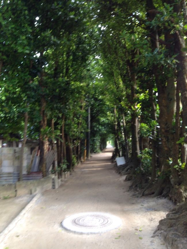 本部半島にある備?のフクギ並木がとても美しいです。日差しが強くても光を遮るくらいにアーチになっていてとても素敵な場所でした。また、海に面しているcaféも夕陽が海に沈むロケーションは抜群に素敵な場所です。<br />時計を忘れリラックスさせてくれる所です