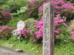 吉野山 新緑の桜の名所・山岳宗教都市を歩く 【南紀遠征3日目PM】