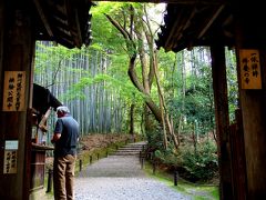 新緑の京都第２弾...東海自然歩道を歩いての古社寺巡り☆