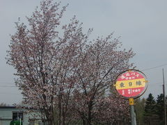 2015GW：和寒・剣淵お花見サイクリングの旅