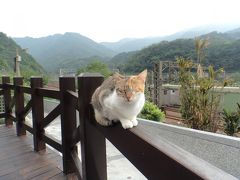 台湾女子旅　後編　　ビギナーは定番へ　リピーターは猫村へ