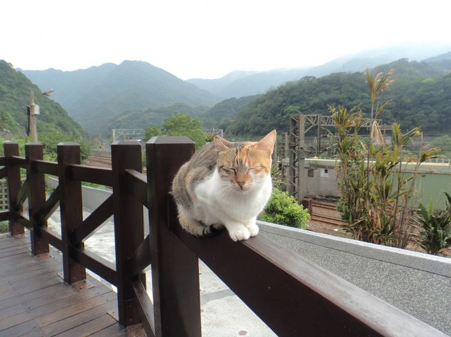 3日目<br />友人は初台湾のため、故旧博物館や台北101観光をしに行くとの事<br /><br />なので、私ひとり別行動にして猫村として有名な「侯&#30800;（ホウトン）」へいきました<br />