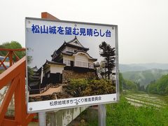 地元の人が作った備中松山城のみえる見晴らし台。それと周辺は野生の「ふじ」が満開。