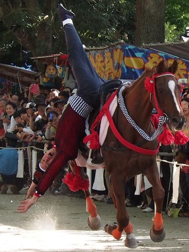 毎年5月5日、京都市伏見区深草の「勝運・学問と馬の神社」藤森神社にて<br />藤森祭（深草祭）に駈馬神事が奉納されています。<br /><br />昭和の初期までは街道で行っておりましたが、道路及交通事情等により境内参道馬場で行われています。<br />昭和58年より、京都市登録 無形民俗文化財に指定され、現在は1200年前の古来より伝わる伝統行事を、<br />藤森神社・藤森神社駈馬保存会・藤森神社駈馬実行委員会・藤森神社氏子により継続公開保存されています(^o^)丿<br /><br /><br />　5/5の午後13時と15時から駈馬神事では下記の駈馬の技（わざ）が披露されます。<br /><br /><br />一、 手綱潜り 敵矢の降りしきる中、駈ける技 <br />二、 逆乗り（地藏） 敵の動静を見ながら、駈ける技 <br />三、 矢払い 敵矢を打払いながら、駈ける技 <br />四、 横乗り 敵に姿を隠して、駈ける技 <br />五、 逆立ち（杉立ち） 敵を嘲りながら、駈ける技 <br />六、 藤下がり 敵矢の当たったと見せて、駈ける技 <br />七、 一字書き 前線より後方へ情報を送りながら、駈ける技 <br />   <br />※ 他にも数種の技が有りましたが、現在は行われていません(^_^;)<br />