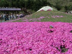 2015 GW ②　本栖湖で富士芝桜祭りを堪能