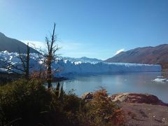 ペリート・モレノ氷河トレッキング＆エルカラファテ