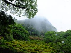 【GWの旅。呼子と平戸へGO～】その1：雨の御船山楽園と、イイ居酒屋みつけたぜの嬉野温泉へ。