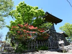 つつじの花咲く筑波山　　つつじヶ丘から女体山～男体山へ♪