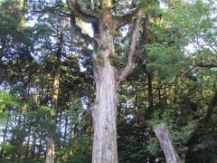 平成狸合戦かごんま（鹿児島）後編～ＧＷ鹿児島旅行『城山観光ホテル』