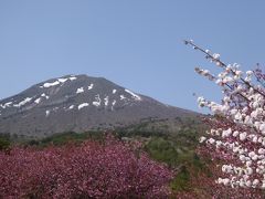 ツアーでＧＯ！！・ＧＷ版／残雪と桜の南東北＆磐梯熱海温泉２泊３日・その１