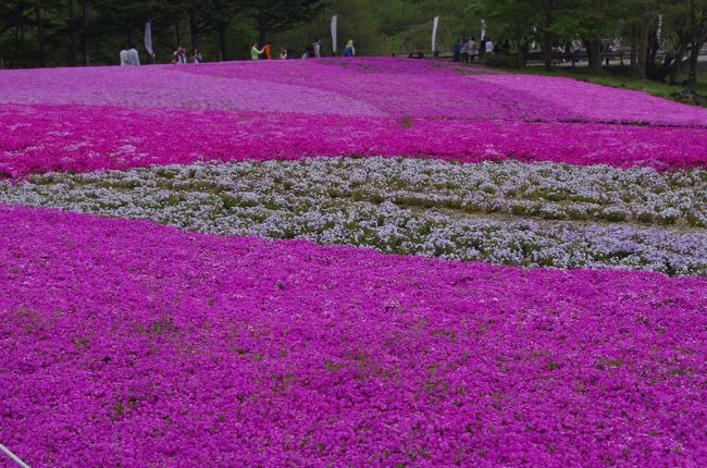 自分では遠出のできない母<br />母の日のプレゼントで一緒にバス旅行にいってきました<br />今年は都合をつけて我が家の娘二人も同行<br />旅行そのものよりも孫と過ごす時間がプレゼントですね<br /><br />ちょっと残念なお天気で綺麗な富士山を見ることは出来ませんでしたが　ちょっとは親孝行できたかな？<br /><br />覚書　バスツアー（名鉄観光ドラゴンズパック）<br />