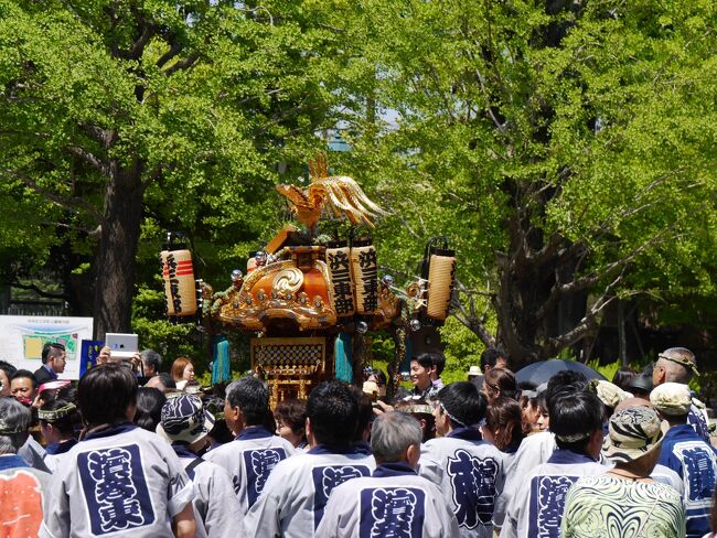 東京の神田祭といえば、江戸時代から続く全国的に有名な祭りです。山王祭（日枝神社）、深川祭（冨岡八幡宮）と並ぶ江戸三大祭りのひとつ。また、京都の祇園祭（八坂神社）、大阪の天神祭（大坂天満宮）と、ともに日本三大祭にも数えられています。<br />全１０８町会約200基にもなる神輿が明神さまの御神霊を遷す神事であり、神田だけでなく日本橋、丸の内、秋葉原と至る所に神輿を担ぐ姿を見る事が出来ます。<br />2年に一度の神田祭は、今年、神田明神が現在の地に遷座して400年目という節目の年ということでいつも以上に盛り上がりました。<br /><br />