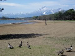 鶴ヶ城の桜を見て猪苗代湖にも寄りました。