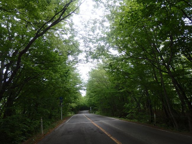 ふらーり新緑の宮城県ドライブ旅