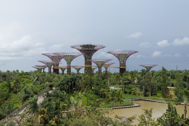 往復共にチャンギ国際空港内のラウンジで野宿し 時間のトランジットの合間にシンガポールの観光地へ シンガポール シンガポール の旅行記 ブログ By Eme10さん フォートラベル