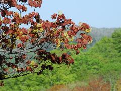 新緑と紅葉が同時に現れる二股温泉を訪ねて（北海道）