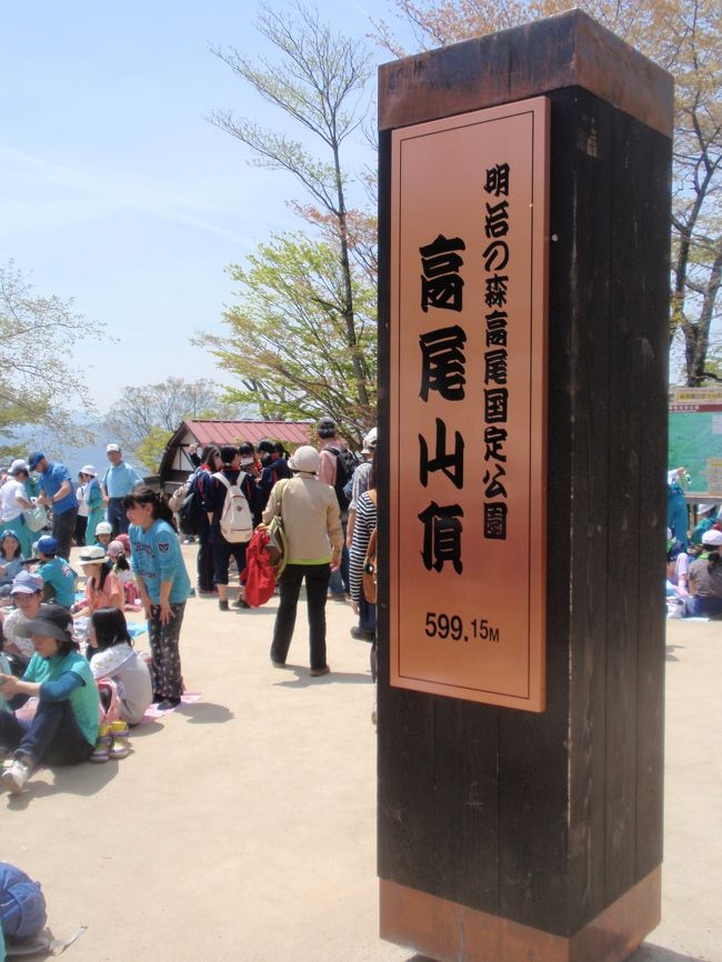 高尾山登山コース6号路を小学生たちと一体で登る。下山は3、2号路を麓まで。