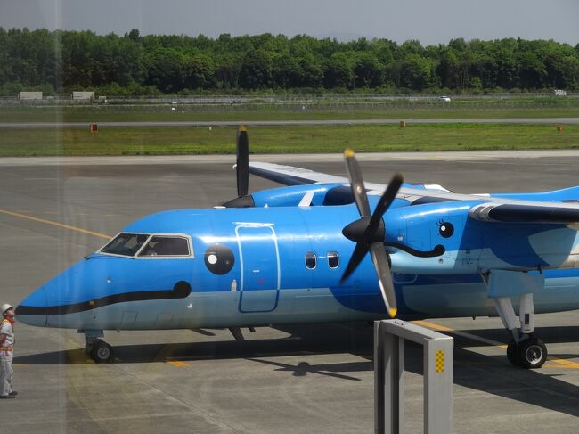 経営も大変な熊本の小さな航空会社が明るく頑張っています。小さなプロペラ機とあったかい機内サービスは大手エアーラインとは一味違います。熊本から大阪へ