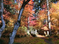 船旅☆宮城（1、2日目　松島編）