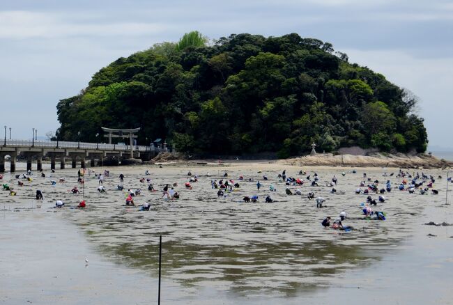 2015春、蒲郡の名所(1/16)：4月22日(1)：蒲郡駅、竹島、藤原俊成像、潮干狩り光景