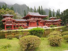 JALで行くホノルル☆☆☆アラモアナ集合から始まる☆☆☆4tra women3人旅+1≪2≫平等院・美味しいシュリンプ・ハレイワ・三度目の正直フックユエン、カハラホテルでスヌーピー♪(2015年6月)