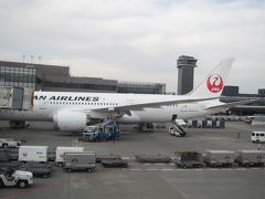 JAL　ビジネスクラス　［シカゴ→成田］　　セントマーチン＆アンギラ＆プエルトリコ⑪