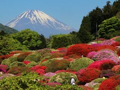 小田急山のホテル・つつじ・しゃくなげフェア＆箱根散策2015年5月