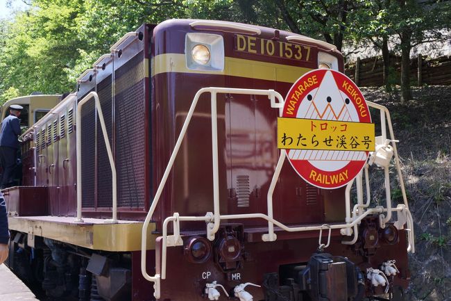 鳴神山に登った日は桐生近くのホテルに泊まり、翌日は「わたらせ渓谷鉄道」に乗って<br />沿線を観光します。<br /><br />ホテルから駅まで送迎バスで送ってもらいます。<br />トロッコ列車「わっしー号」を予約してあるのです。ホームにわっしー号が入線してくるというアナウンスがあった・・ 時に気が付きました・・送迎バスの中にカメラを忘れたことを・・(；ﾟДﾟ)(；ﾟДﾟ)<br />ぎゃーっ！<br /><br />宿に電話して、ドライバーさんに駅に戻ってくれるようにお願いを。<br />９：３０のわっしー号に乗りたいんです！！と絶叫してみたけど、そんなの無理よね・・カメラを受けとったのは９：４５。<br />でも係員さんの柔軟な対応により、わっしー号の次のトロッコ列車「わたらせ渓谷号」に振り替えてもらうことができました。よかった〜。<br />