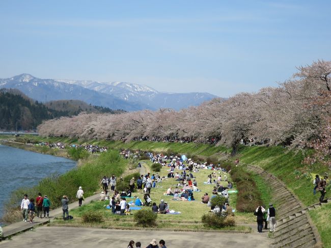 2015 お花見北東北の旅＜第3日＞角館