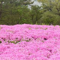 九州満喫の旅２日目 ～②くじゅう・黒川温泉・南阿蘇村～