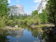 Yosemite National Park　（2015GWの旅行記）