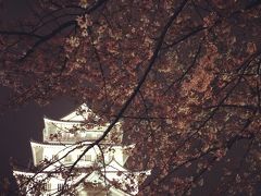 雨だったけど千葉の桜めぐり。さくら広場、千葉動物園、千葉城。