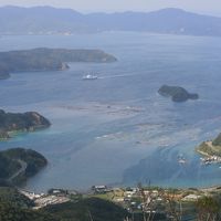 念願の奄美大島、一人旅③　「長雲」を探しまわる