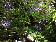 裏道小道を歩いて杉本寺明王院光触寺(鎌倉三十三観音1,7,8)