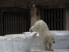 懐かしの天王寺動物園と新世界界隈　2015年 5月