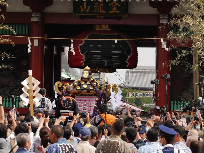 “三社祭”本社神輿宮出し。そして「浅草むぎとろ」と「カフェ・ムルソー」