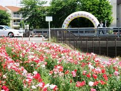 ポピーと久喜市鷲宮地区のコミュニティ祭りを楽しむ