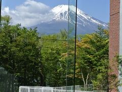 2015年5月　ちび犬と行く絶景世界遺産「富士山」と芝桜＠富士山中湖リゾート凛香