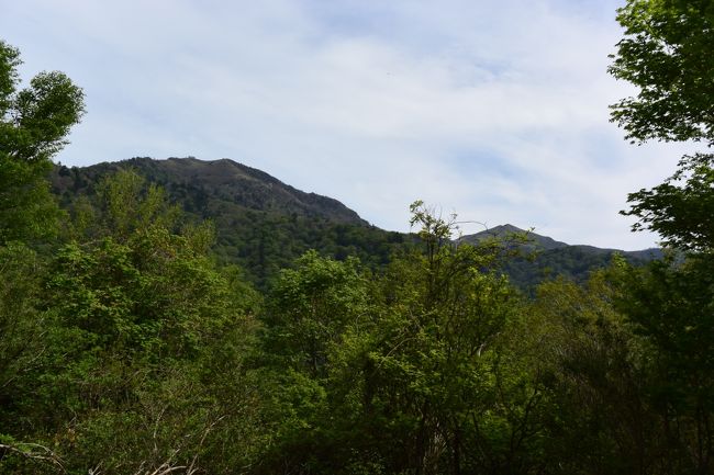 剣山は日本の四国に位置する標高１,９５５ｍの山です。<br />四国第二の高峰であり、徳島県の最高峰です。<br /><br />徳島県三好市東祖谷、美馬市木屋平、那賀郡那賀町木沢の間に位置します。<br />徳島県では県のシンボルの一つとされています。<br />別名太郎笈（たろうぎゅう）と呼ばれ、南西側の「次郎笈」と向かい合ってそびえています。<br /><br />羽田発7：50→香川：高松空港9：05→小型バスにて徳島自動車道美場ＩＣから国道438号（大変狭い道路）→見ノ越（1,420ｍ）→リフト西島駅（1,700ｍ）→剣山山頂（1,955ｍ）<br /><br /><br />≪天候≫快晴<br />≪写真≫剣山（左）とジロウギュウ（右）