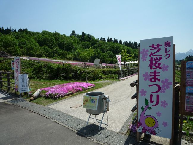 奥レク花と緑と雪の里で、５月１６日（土）～３１日（日）の期間に、シバザクラ祭りを開催しています！<br />約１６万株の芝桜が、園内を覆い尽くして咲いていました！<br />シバザクラ祭りには、曜日ごとに開催イベントも有るとの事ですねで、皆様も是非行かれては如何でしょうか？