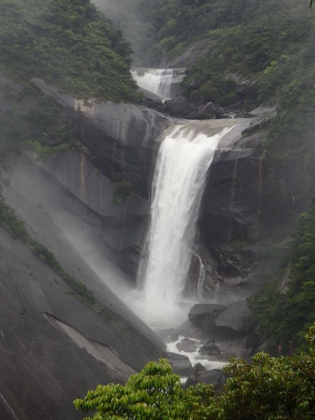 前から行ってみたかった屋久島<br />拙い旅行記ですが、ご覧下さい。