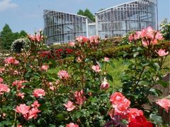 勝手にローズウィーク 3万株のバラ園！茨城県フラワーパーク