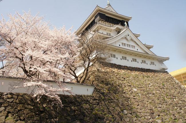 けんいちの１人旅です。<br /><br />富山に住む祖父の米寿のお祝いで親戚が集まることになったので、自宅の神奈川から富山に向かいます、、、、が、休みを取って博多から鉄道を乗り継いで富山に向かうことにしました。<br /><br />青春１８きっぷを使っての片道１０００キロの遠回り。こんな無駄な旅もたまにはいいのではないでしょうか。