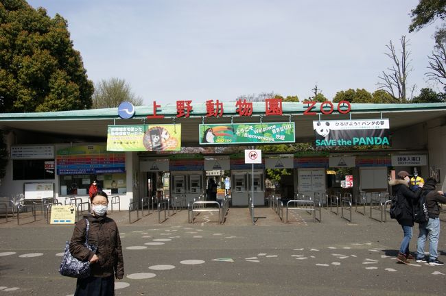 十何年ぶりに上野動物園に行ってみました。