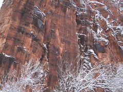 ザイオン国立公園周辺の旅行記
